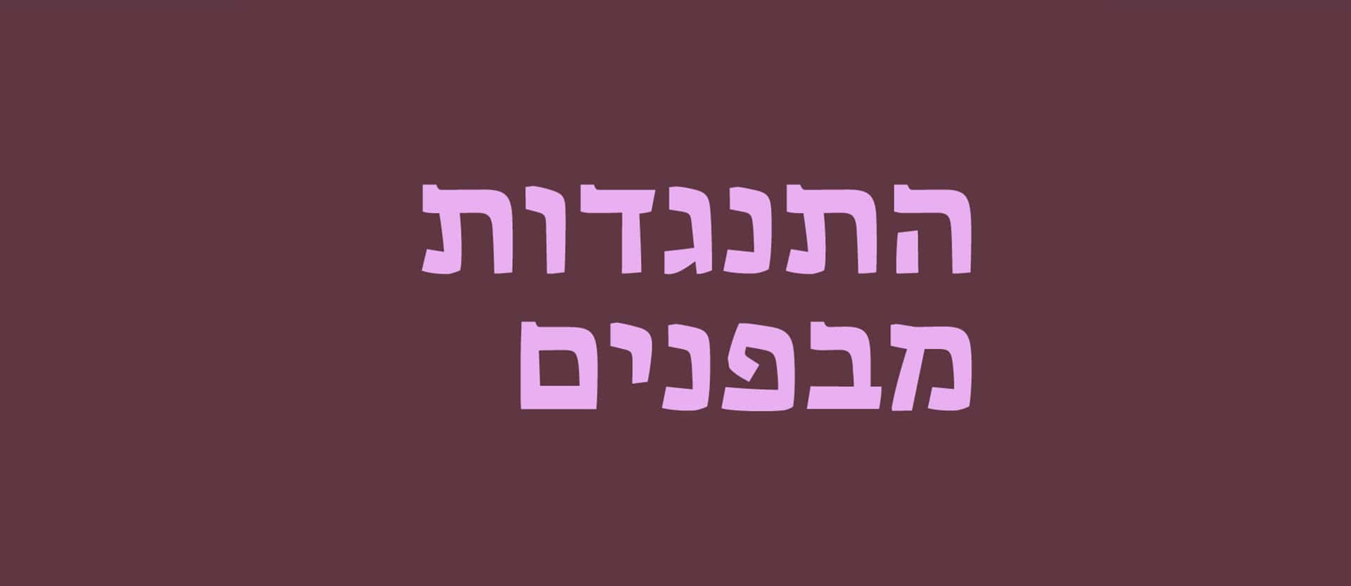 התנגדות מבפנים